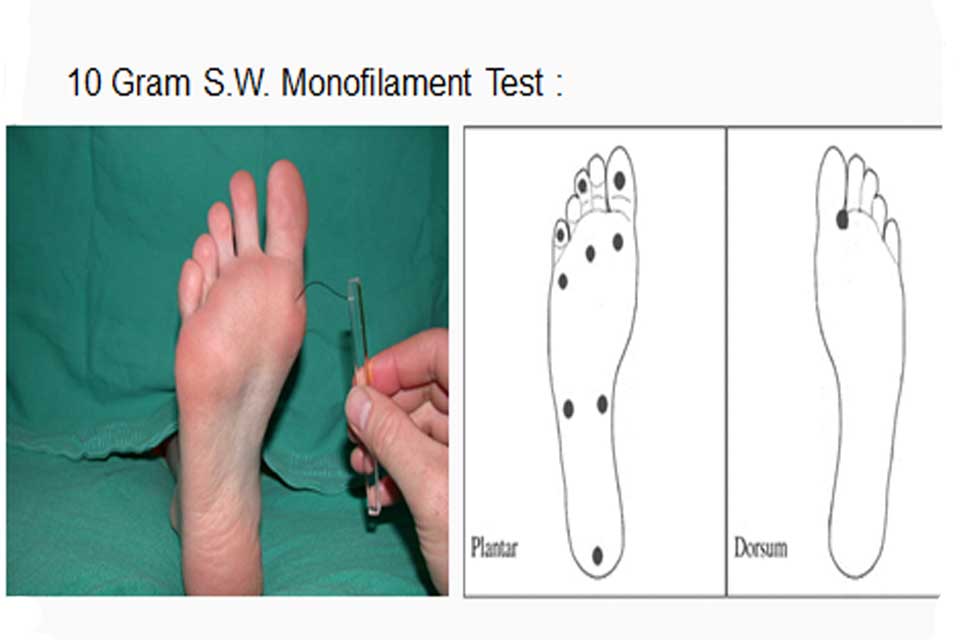 10gram S.W. Monofilament Test